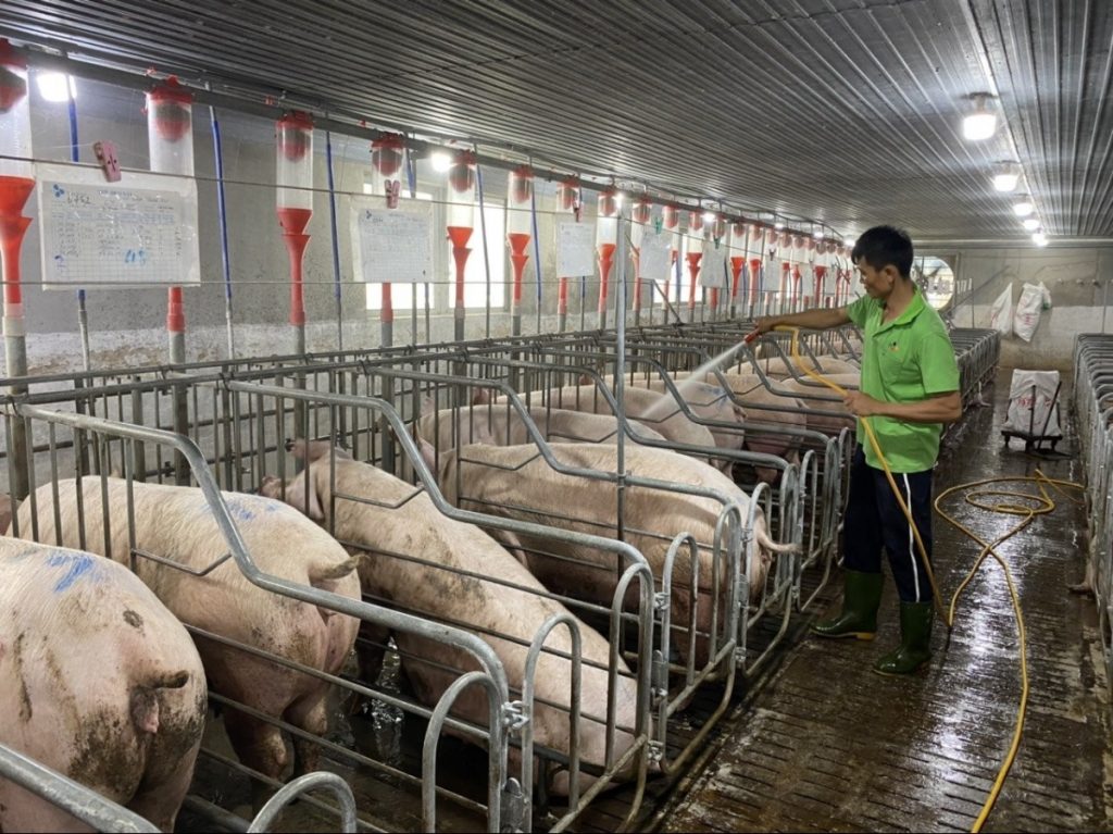 Sản xuất nông nghiệp ổn định đảm bảo nguồn cung thực phẩm Tết Nguyên đán