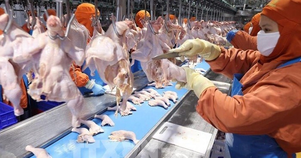 Thị trường hàng hóa ngày 28 Tết sôi động, giá cả vẫn ổn định