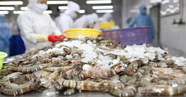 Mỹ giảm thuế chống bán phá giá cho tôm Việt