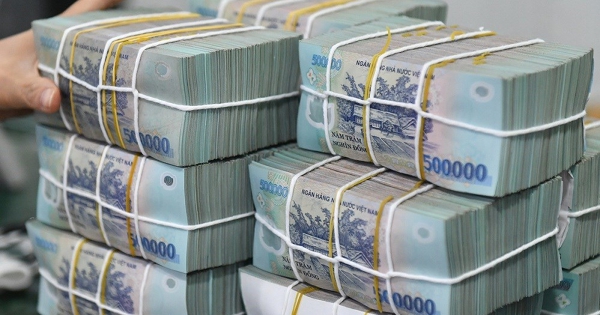 Những 'vua tiền mặt' trên sàn chứng khoán