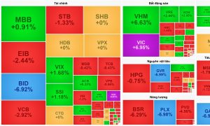 Vingroup tỏa sáng gánh thị trường VN Index tránh một phiên giảm sâu