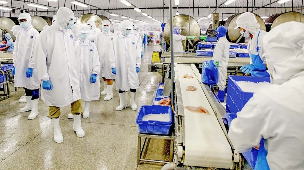 Vĩnh Hoàn bị nhắc nhở vì chậm báo cáo tài chính quý 4 2025