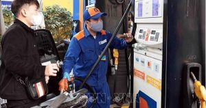 Ban hành kế hoạch thực hiện lộ trình áp dụng tỷ lệ phối trộn nhiên liệu sinh học