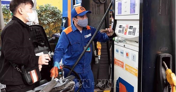 Ban hành kế hoạch thực hiện lộ trình áp dụng tỷ lệ phối trộn nhiên liệu sinh học