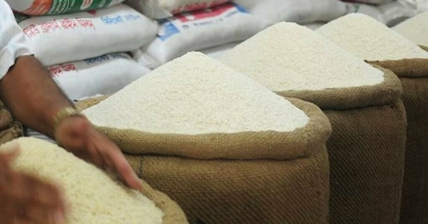 Giá lúa gạo hôm nay 14/3: Xuất khẩu gạo của Thái Lan sang Trung Đông bị đình trệ