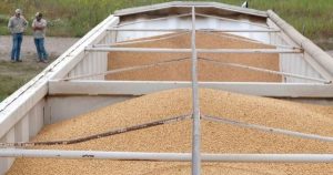 Giá dầu đậu tương gần chạm đỉnh 3 năm vì nhu cầu phối trộn nhiên liệu sinh học