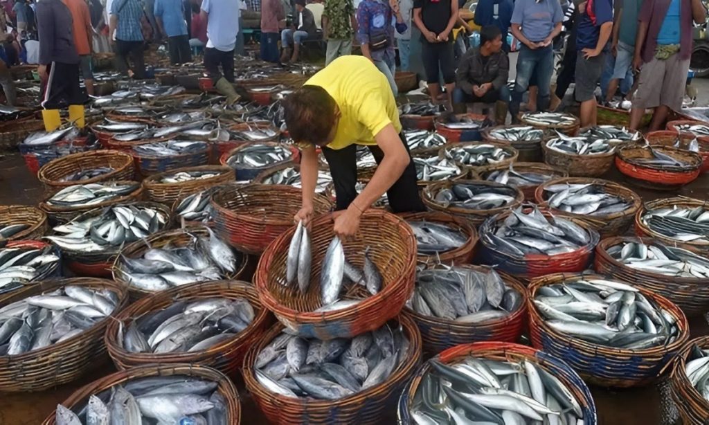 Indonesia siết chặt kiểm soát đối với các sản phẩm cá nhập khẩu