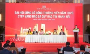 Lợi nhuận vượt kế hoạch Bảo Tín Mạnh Hải đặt mục tiêu mở rộng quy mô