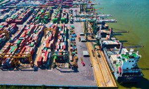 Cảng Xanh VIP hạ mục tiêu lợi nhuận năm 2026 lên kế hoạch chuyển nhà sang HOSE