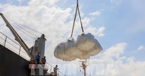 Xuất khẩu gạo tăng 5% về lượng, giá bình quân giảm mạnh