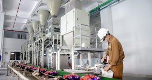 Hóa chất Đức Giang nói gì khi cổ phiếu DGC sàn 5 phiên?