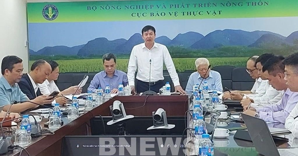 Xung đột ở Trung Đông: Tìm giải pháp ổn định thị trường phân bón trong nước