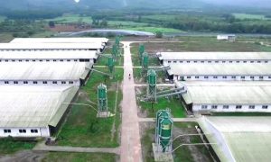 De Heus – Hùng Nhơn sẽ mở rộng đầu tư các dự án nông nghiệp tại Tây Ninh Gia Lai