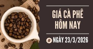 Giá cà phê hôm nay 23/3: Đà tăng liệu có được duy trì trong tuần này?