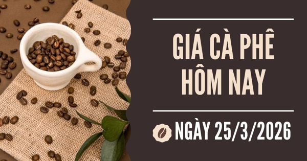 Giá cà phê hôm nay 25/3: Đảo chiều tăng trở lại, arabica kéo giá robusta đi lên