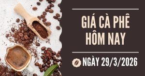 Giá cà phê hôm nay 29/3: Giao dịch trầm lắng, giá cà phê giảm 1.500 – 1.700 đồng/kg trong tuần qua