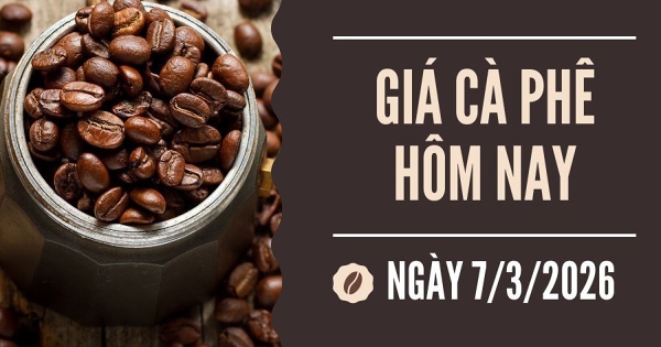 Giá cà phê hôm nay 7/3: Tiếp đà tăng, robusta leo lên mức cao nhất trong 2,5 tuần