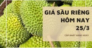 Giá sầu riêng hôm nay 25/3: Thị trường lặng sóng, quy định mới về hoạt động mua bán sầu riêng tại Đắk Lắk