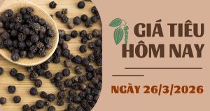 Giá tiêu hôm nay 26/3: Tiêu Malaysia tăng mạnh, trong khi Việt Nam vẫn giữ ổn định