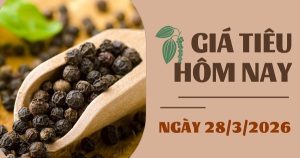 Giá tiêu hôm nay 28/3: Đồng loạt tăng, giá tiêu trong nước trở lại mốc trên 140.000 đồng/kg