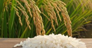 Giá lúa gạo hôm nay 26/3: Ngược chiều thế giới, giá gạo xuất khẩu của Việt Nam bật tăng trở lại