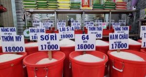 Giá lúa gạo hôm nay 11/3: Thị trường lặng sóng, nhập khẩu gạo của Philippines tăng mạnh