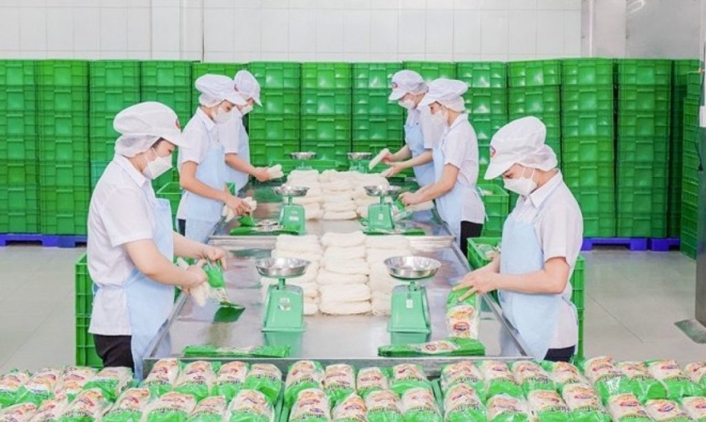 Safoco lên kế hoạch kinh doanh 2026 đi ngang duy trì cổ tức 30