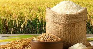 Giá lúa gạo hôm nay 27/3: Cước vận chuyển tăng cao và thiếu hụt container gây gián đoạn thương mại gạo toàn cầu