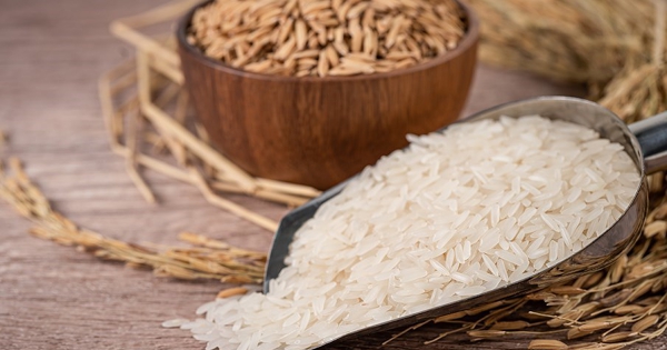 Giá lúa gạo hôm nay 7/3: Xuất khẩu gạo Ấn Độ đối mặt với khó khăn do xung đột tại Trung Đông