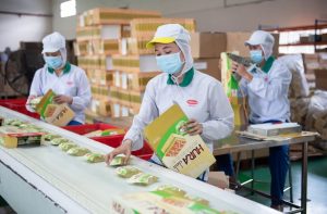 PAN nhận về hơn 2 600 tỷ đồng từ chuyển nhượng Bibica