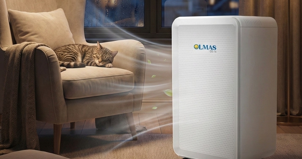 Top 3 Máy hút ẩm Olmas đáng mua nhất giúp gia đình Việt vượt qua mùa nồm
