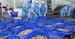 Thêm một công ty đặt mục tiêu lãi kỷ lục trong 2026