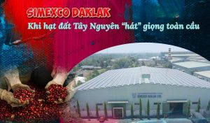 SIMEXCO DAKLAK Khi hạt đất Tây Nguyên hát giọng toàn cầu