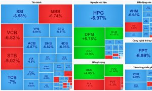165 mã giảm sàn VN Index bay hơi hơn 100 điểm