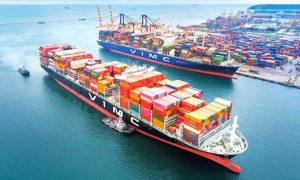 VIMC muốn góp gần 14 000 tỷ đồng làm siêu cảng Cần Giờ