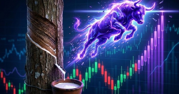 Một cổ phiếu cao su tăng trần 6 phiên liên tiếp, gấp đôi giá chỉ sau nửa tháng