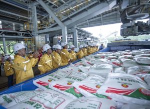 Xuất khẩu tăng mạnh DCM vẫn thận trọng với mục tiêu kinh doanh năm 2026