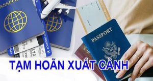 CEO một công ty sữa bị tạm hoãn xuất cảnh