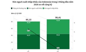 Indonesia nối dài chuỗi thặng dư thương mại trong gần 6 năm