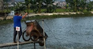 Một mặt hàng của Trung Quốc xuất khẩu gặp khó, Nhật Bản sắp hưởng lợi giá rẻ