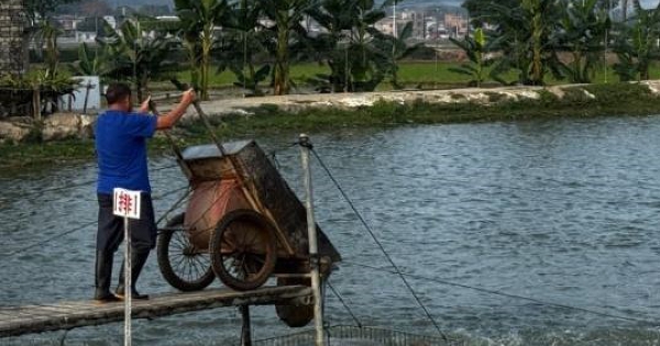 Một mặt hàng của Trung Quốc xuất khẩu gặp khó, Nhật Bản sắp hưởng lợi giá rẻ