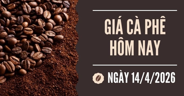 Giá cà phê hôm nay 14/4: Tăng nhẹ trên các sàn giao dịch do tồn ở mức thấp và nguồn cung hạn chế từ Brazil