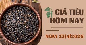 Giá tiêu hôm nay 12/4: Trong nước và xuất khẩu cùng tăng trong tuần qua