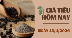 Giá tiêu hôm nay 13/4: Xuất khẩu tiêu của Brazil đối mặt khó khăn do xung đột tại Trung Đông