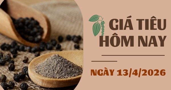 Giá tiêu hôm nay 13/4: Xuất khẩu tiêu của Brazil đối mặt khó khăn do xung đột tại Trung Đông