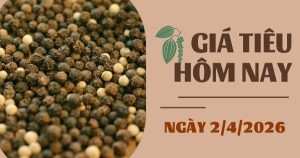 Giá tiêu hôm nay 2/4: Giá tiêu được dự báo sẽ sớm tăng trở lại?