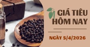 Giá tiêu hôm nay 5/4: Thế giới tăng, trong khi Việt Nam lại giảm mạnh trong tuần qua