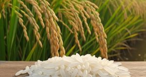 Giá lúa gạo hôm nay 18/4: Liên tục tăng cao, gạo thơm Việt Nam chính thức chạm mốc 500 USD/tấn