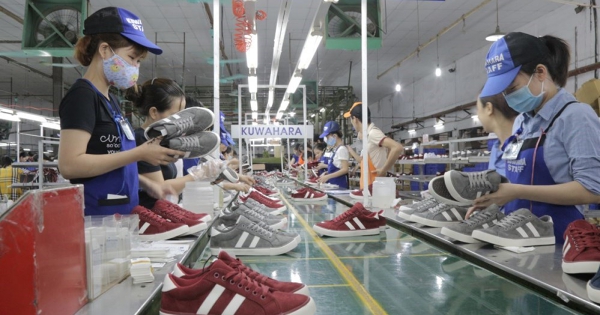 Giầy Thượng Đình muốn đầu tư dự án bất động sản gần 10.000 tỷ ở Hà Nội dù chưa thoát lỗ