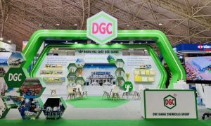 Hoá chất Đức Giang nêu lý do chậm nộp báo cáo tài chính kiểm toán